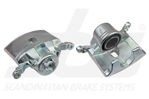 Brake Caliper (1301212634)