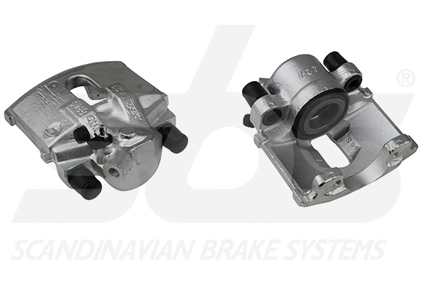 Brake Caliper (1301212385)