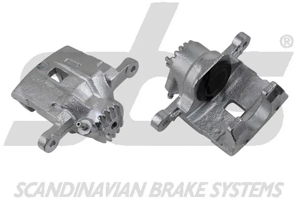 Brake Caliper (1301213523)