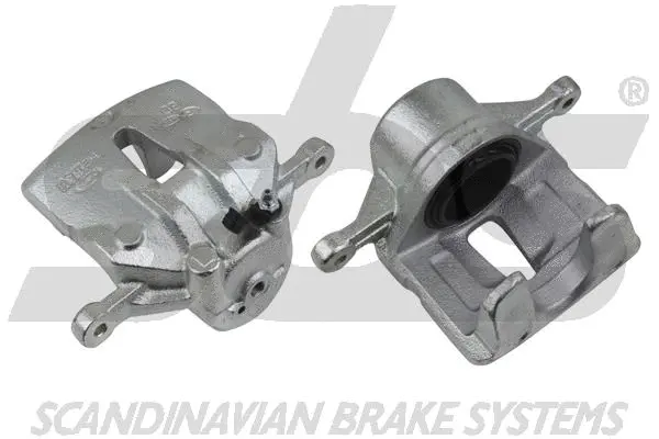 Brake Caliper (1301213543)