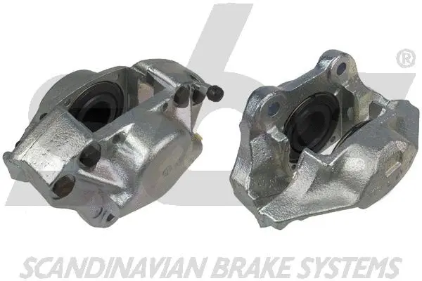 Brake Caliper (1301213646)