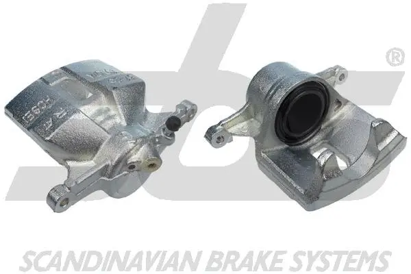 Brake Caliper (1301214598)