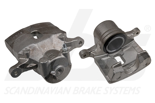 Brake Caliper (1301213493)