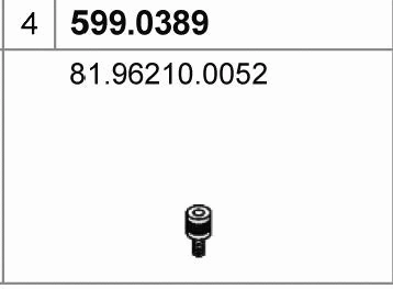 Mounting Kit, muffler (599.0389)