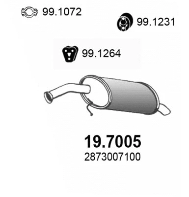 Rear Muffler (19.7005)