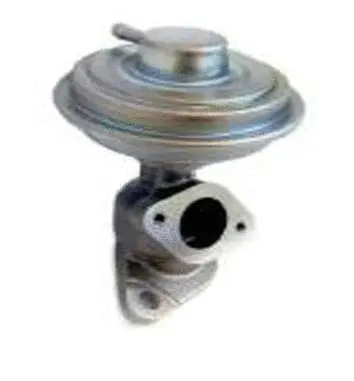 EGR Valve (70.0129)
