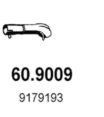 Exhaust Pipe (60.9009)
