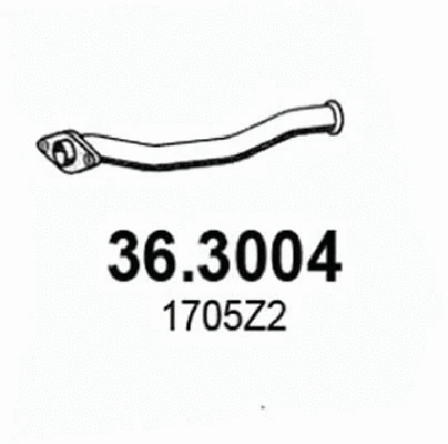 Exhaust Pipe (36.3004)
