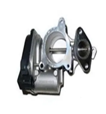 EGR Valve (70.0016)