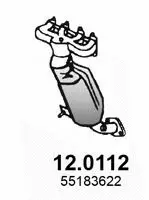 Catalytic Converter (12.0112)
