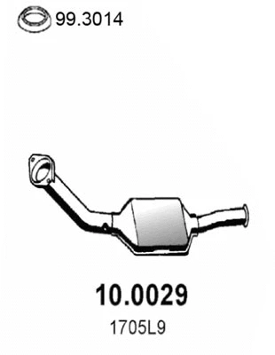 Catalytic Converter (10.0029)