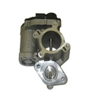 EGR Valve (70.0082)