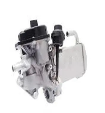 EGR Valve (70.0004)