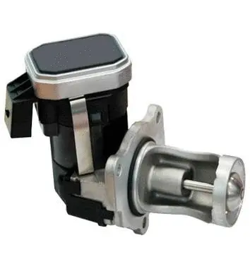 EGR Valve (70.0146)