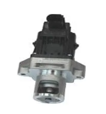 EGR Valve (70.0139)