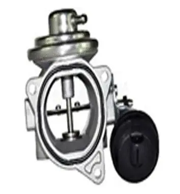 EGR Valve (70.0026)
