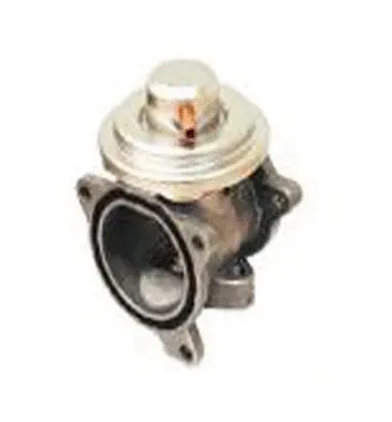 EGR Valve (70.0131)