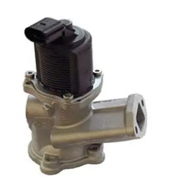 EGR Valve (70.0125)