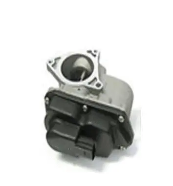 EGR Valve (70.0003)