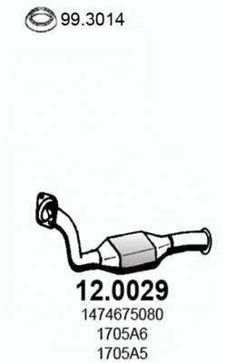 Catalytic Converter (12.0029)