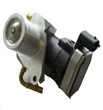 EGR Valve (70.0105)