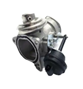 EGR Valve (70.0028)