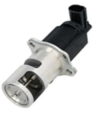 EGR Valve (70.0077)