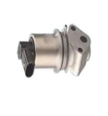 EGR Valve (70.0137)