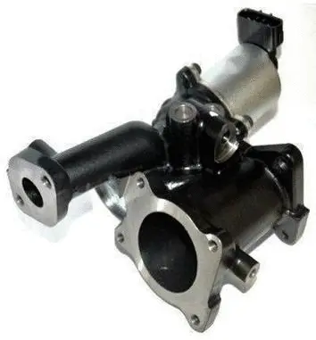 EGR Valve (70.0163)