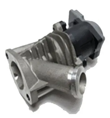 EGR Valve (70.0072)