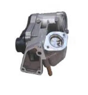 EGR Valve (70.0019)