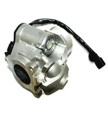 EGR Valve (70.0165)