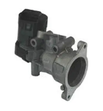 EGR Valve (70.0071)