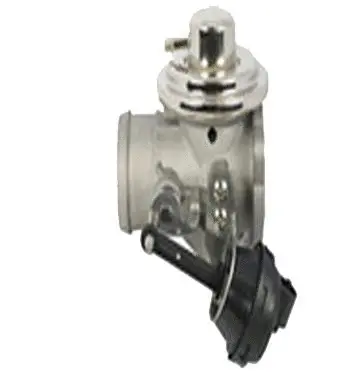 EGR Valve (70.0022)