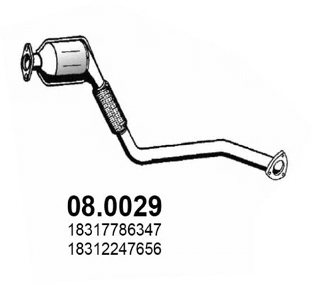 Catalytic Converter (08.0029)