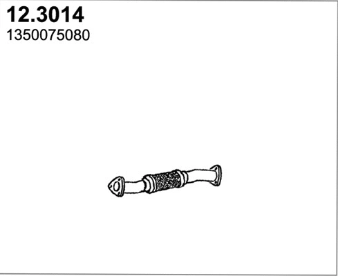 Exhaust Pipe (12.3014)