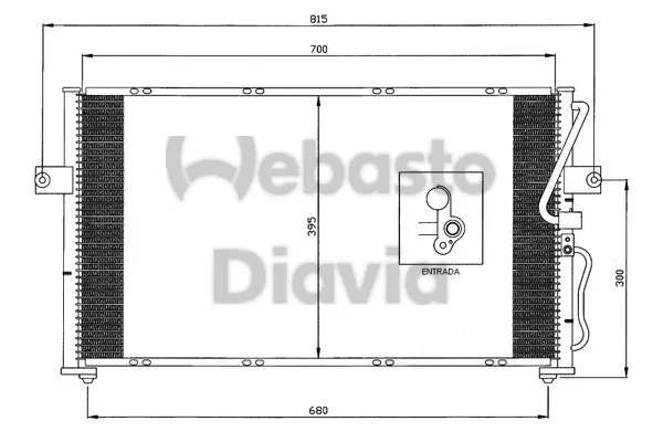 Condenser, air conditioning (82D0225608A)