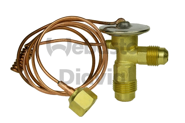 Expansion Valve, air conditioning (82D0585693MA)