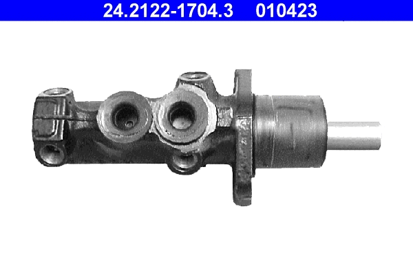 Brake Master Cylinder (24.2122-1704.3)