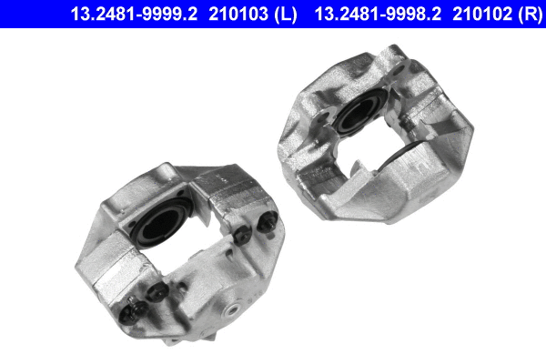 Brake Caliper (13.2481-9999.2)