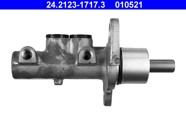 Brake Master Cylinder (24.2123-1717.3)