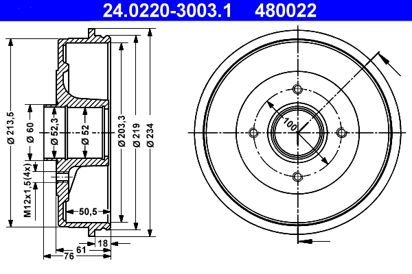 Brake Drum (24.0220-3003.1)