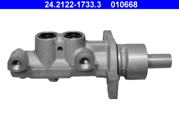 Brake Master Cylinder (24.2122-1733.3)