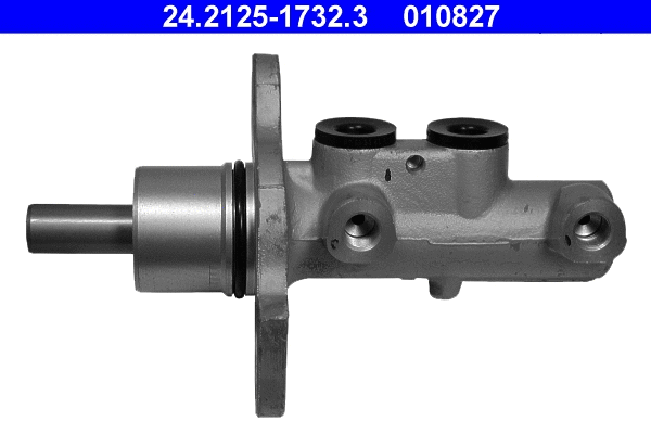 Brake Master Cylinder (24.2125-1732.3)