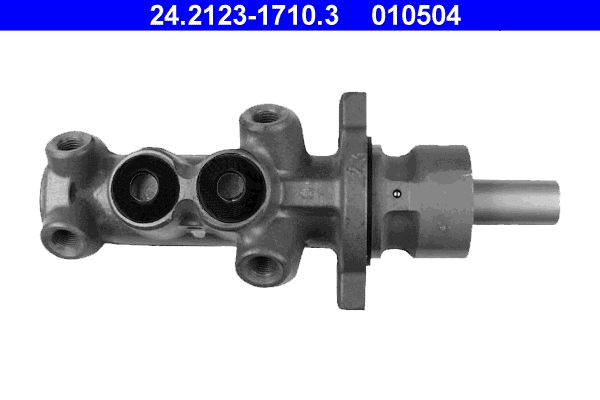 Brake Master Cylinder (24.2123-1710.3)