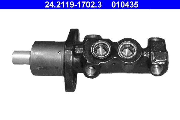 Brake Master Cylinder (24.2119-1702.3)