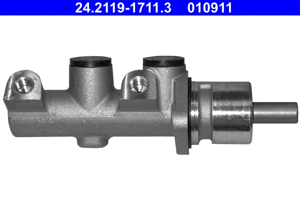 Brake Master Cylinder (24.2119-1711.3)
