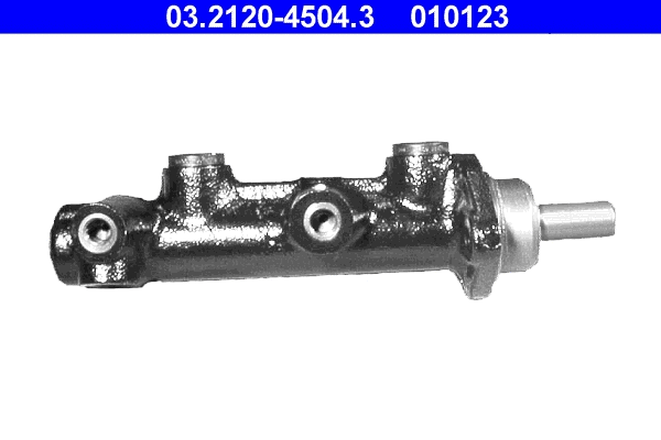 Brake Master Cylinder (03.2120-4504.3)