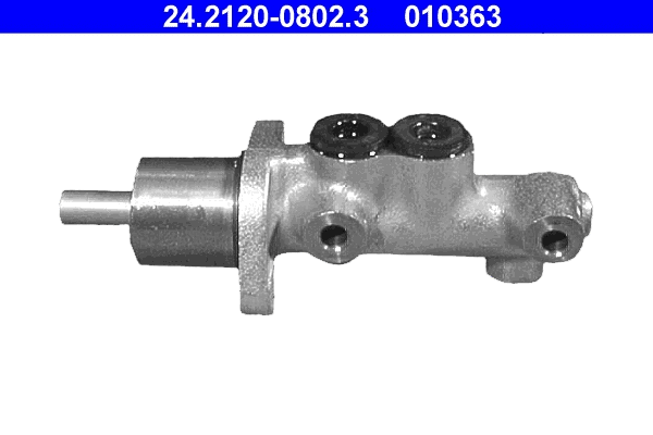Brake Master Cylinder (24.2120-0802.3)