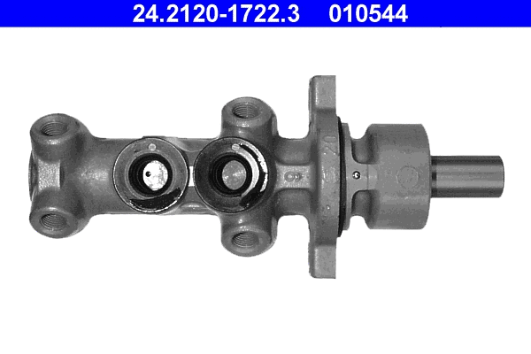Brake Master Cylinder (24.2120-1722.3)